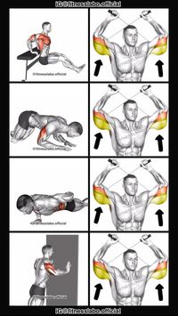 ✅ How to Remove Arm Fat   ① Bench Dips  ② Kneeling Triceps Extension  ③ One Hand Push-up  ④ Wall Press 3 sets 15 reps   #fitness #gym #exercise  #workout #workoutroutine  #exercisetips  #fitnesstips  #bodybuilding  #chestworkout  #chestday  #chestexercises