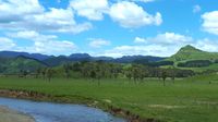 North Island cattle country