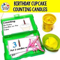 Birthday Math Activity Counting Work Task Box for Special Education