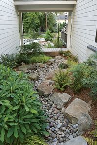 5 Inspiring Naturalistic Dry Creek-Bed Designs - Fine Gardening