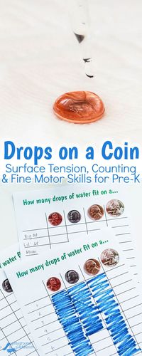 Quick and easy simple preschool STEM activities explores water, surface tension and coins, while challenging fine motor skills with an eye dropper. Free printable chart to record results as a class, trials by individual students or record results in a bar graph form. | Preschool | STEM | STEAM Kids | Science | Early Childhood Education | Kids Activities