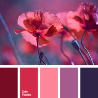 burgundy and dark blue | Color Palette Ideas