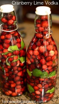 A Bottle of Cranberry Lime Vodka | 38 Best DIY Food Gifts. Looks incredible....this is a beautiful gift...and I would pair it with a bottle of cranberry wine and a set of glasses from the Dollar Store...cuz I'm classy like that :D