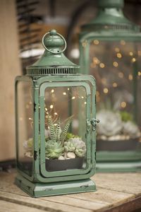 Watch for tips on making your own magic succulent lantern! #miniaturegardens