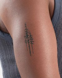 Pinus lambertiana (AKA the sugar pine) is a tremendously tall tree. Up to 200 feet tall, it towers over pretty much every other plant in its forests. And if you're obsessed with the outdoors and are looking for a tattoo to keep you connected to nature, this trio of sugar pines is sure to do the trick.