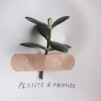 plants, grunge, and aesthetic image