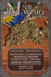 Magical Properties - Mugwort