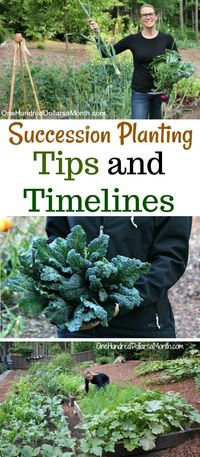 After I wrote the title for this post, I wondered, do people even know what 411 stands for anymore?  Should I have called it the Google on Succession Planting?  Man, technology makes me feel old sometimes. Anyway, moving on.  Succession planting–do you do it?  If you don’t, you totally should.  It gives you a continuous …