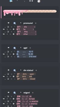 discord layout embed reaction roles channel aesthetic messy minimal (do not copy, this is work by fawniie on discord!)