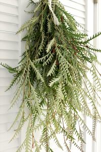 Fresh Grevillea Foliage The exquisite dusty green with russet red tips, grevillea leaves are great accent for arrangements, boutonnieres, or wreaths. WHEN DO ORDER: It is better to order early rather than later to ensure availability. If needed for a specific event, please note desired arrival date and EVENT DATE* in the comments of your purchase. RECOMMENDED DELIVERY DATE: 2-3 days before your events. If your wedding is Saturday suggested delivery day is Thursday. HOW TO CARE: Once you receive