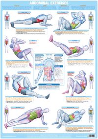 Abdominal Exercise Chart illustrates popular floor exercises that concentrate effort on strengthening and toning Abdominal and Core Muscles. Exercises are demonstrated highlighting the muscles targeted.  Central anatomical illustration depicts each specific muscle's action. Additional information provided on Breathing and Exercise Technique  Suitable exercises for all sporting activities and levels of fitness.  Chartex Abdominal Exercise Chart provides an informative Training Aid and Reference R