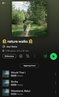 strolling through your home town, summer, autumn, nature walks, spotify, playlist curator