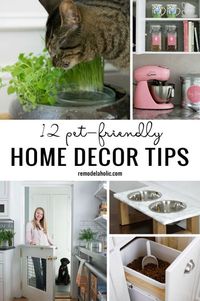 12 Pet-Friendly Home Decor Tips - Remodelaholic