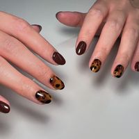 Fall Nail Trends: Tortie Nails ⚡️save for nail inspo I love tortoiseshell nails 🤩🐢 they’re never the same but also it’s such a unique and fun design I’ll never get tired of. #tortie #tortienails #fallnails #fallnailart #fallnailinspo #fallnaildesigns #brownnnails #gelpolishnails #gelpolishnailart #gelpolishdesign #gelpolishart