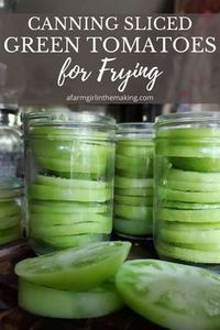 Preserve green tomatoes now to have fried green tomatoes all year long! Follow these steps to do so safely, while building your pantry with awesome tomato goodies!  #foodstorage #preserving #friedgreentomatoes