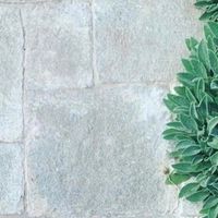 Eco Outdoor on Instagram: "The random sizes, irregular edges and natural textures of our Endicott® Split Stone are showcased beautifully in this project by @tuckeroo_landscapes⁠ Each piece has a hand-chipped finish making it a truly unique product.⁠ ⁠ Our Split Stone range offers a diverse spectrum of stone types, colours and sizes, providing great design flexibility. ⁠ ⁠ To view our curated Split Stone flooring range, tap this image via our link in bio.⁠ ⁠ Featured plant: Lamb's Ears"