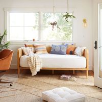 Kira Rattan Cane and Wood Daybed Frame - World Market