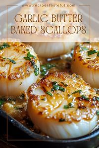 Succulent large scallops baked in a rich garlic butter sauce, topped with crispy breadcrumbs and Parmesan cheese. This easy recipe is perfect for a special dinner or a cozy family meal.