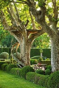 tree house in the garden