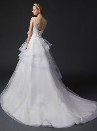 Dreamy Ball-Gown V-neck Court Train Tulle Wedding Dress With Appliques Lace