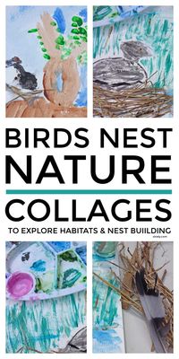 These lovely bird's nest nature collages for kids are a lovely spring habitat activity for exploring nature with kids, collecting natural materials and observing nest building as part of an animal habitat project. #naturecrafts #naturestudy #habitatproject #habitatactivity #natureactivities #natureactivitiesforkids