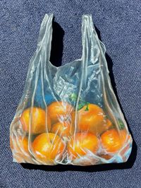 Painted oranges in plastic bag on a cut out canvas by anna_qp