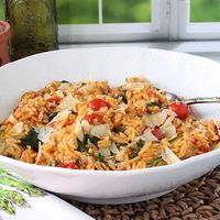 One Pan Orzo with Tomatoes and Spinach