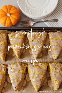 Sourdough pumpkin scones with a delicious maple glaze and pumpkin spice flavor go great with a cup of coffee for a fall breakfast.