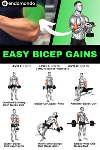 Build bigger biceps with these easy gains workouts. Perfect for anyone looking to quickly increase arm strength and muscle size. Start your bicep workout today!