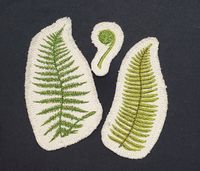 "Embroidered patch made in my home studio. Add to your patch collection.  Start creating your own patch jacket. Hand digitized by myself and stitched on 100% cotton Canvas.  Ferns always remind me of that wonderful small of a moist forest floor. I know of wish I was there now!  3 patch set: 2 different fern species and a fern bud. Sew on with fringe OR Iron-on without fringe Approximate dimensions measuring edge not including fringe: Fern 1: 4-3/8\" x 2-1/4\" (110mm x 55mm) Fern 2: 4\" x 1-3/4\" (105mm x 40mm) Fern 3: 1-3/4\" x 7/8\" (24mm x 45mm) All designs are digitized and stitched in the US in my home studio.  They are original designs."