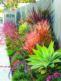 Create a drought-friendly landscape. (Originally featured on a California-Friendly Landscape Contest hosted by Roger's Gardens in Orange County, CA)