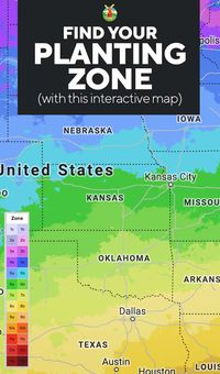 This interactive map will help you find the correct planting zones or gardening zones accurately. It's easy, you can use your ZIP Code, geolocation (with GPS), or click on a location on the map manually.