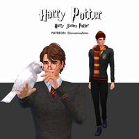 Hello Simmers! Today I brought you the Harry Potter characters that I created, this universe is another passion of mine.  https://www.patreon.com/posts/harry-potter-107218058