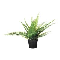 FEJKA Artificial potted plant In/outdoor fern IKEA