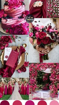 Moee for fuisha o Magenta quince dress de pration ideas