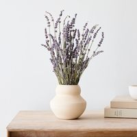 Dried Lavender Stem Bunch | West Elm