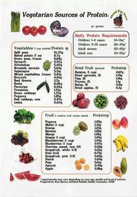 protein in fruits/veggies