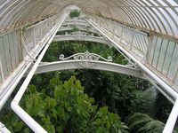 Palm House roof, Royal Botanic Gardens