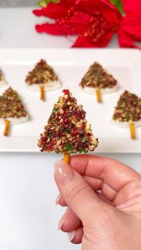 Candied Pecan & Cranberry Brie Bites🎄 #christmasfood #holidayrecipes #christmasappetizers