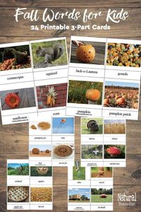 We enjoy the changing leaves, the crisp air, the holidays and the delicious desserts and drinks. So, to celebrate Fall, we have a wonderful set called: Fall Words for Kids.