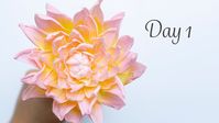 Dahlia | Day 1 | 30 Days of Sugar Flowers