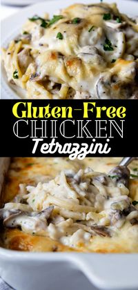 Enjoy the ultimate comfort food with this easy, creamy recipe for gluten-free chicken tetrazzini. This family-friendly casserole combines tender bites of chicken (alternatively swap out leftover turkey or ham) with gluten-free noodles, mushrooms and covered in a velvety, cheesy cream sauce. Use the pro tips listed below to make a foolproof gluten-free chicken pasta bake without mushy results!