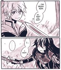 Fire Emblem: Awakening - Robin and Lucina