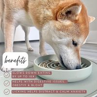 Slow Feeder Dog Bowl: The Slowdown Bowl is A Modern, Silicone Puzzle Bowl & Lick Mat. Slow Eating, Stop Gulping, Take It Easy. Dishwasher Safe.