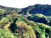 Awesome place. Buscalan, Kalinga Philippines