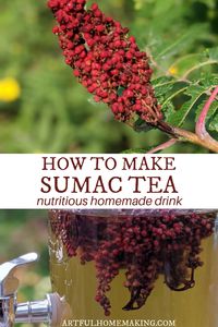 Learn how easy it is to make homemade sumac tea or lemonade using wild sumac berries. It's a nutritious drink filled with vitamins and antioxidants!