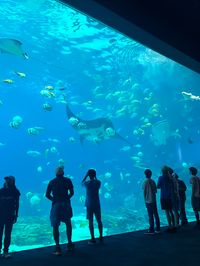 📍georgia aquarium, atlanta