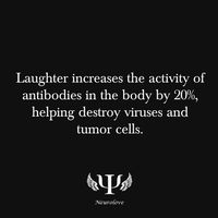 Laugh a lot