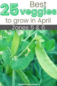 April Planting Guide - Zones 5 & 6 - Our Stoney Acres