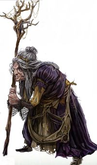 old "wise woman"